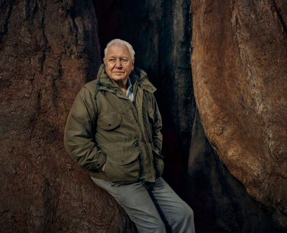 Sir David Attenborough, EARTH